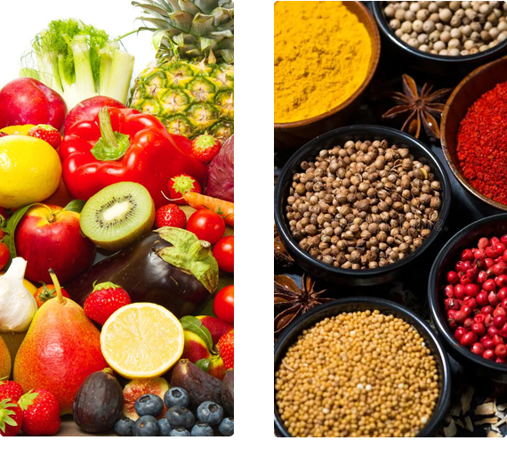 About Krishnam Import & Export