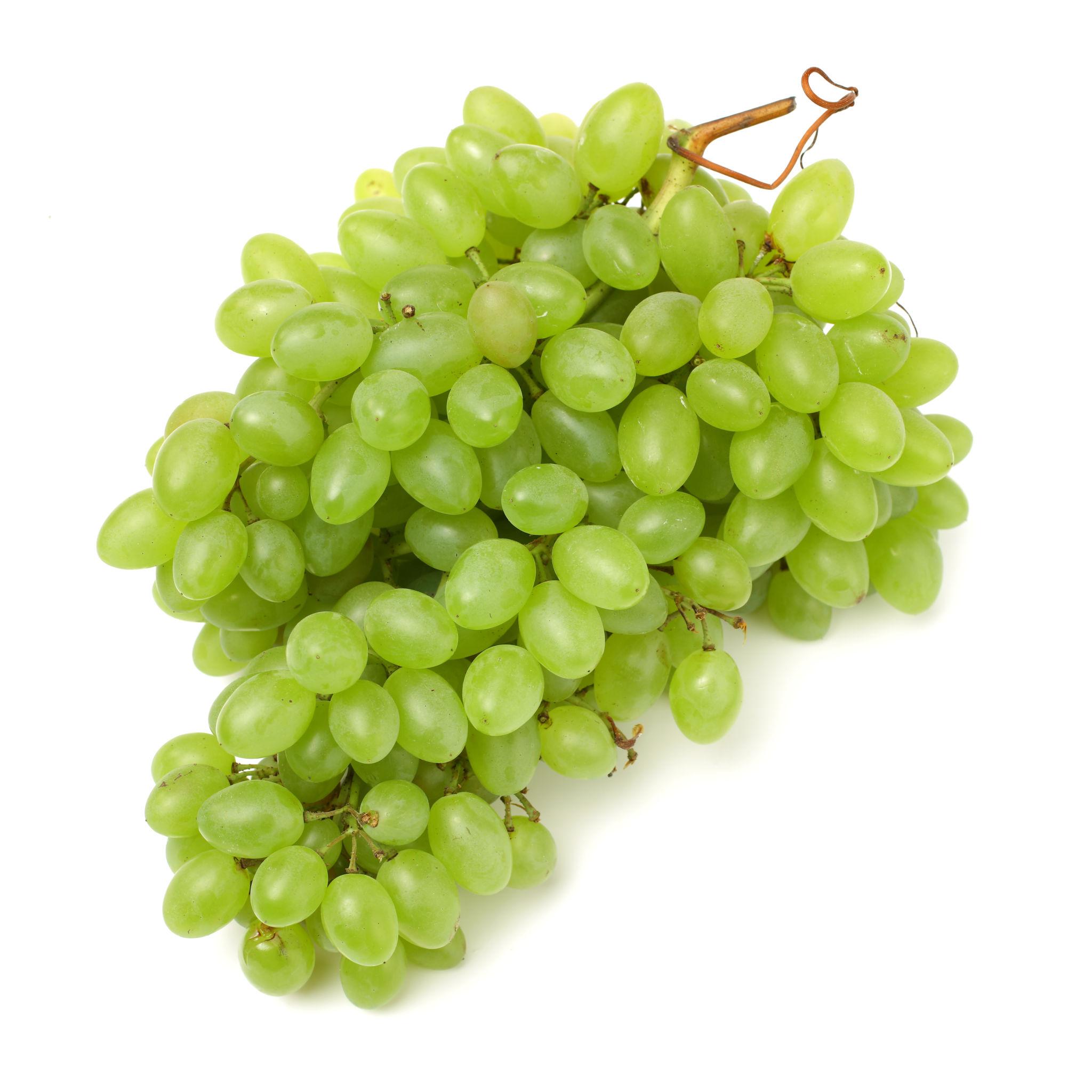 Fresh Grapes
