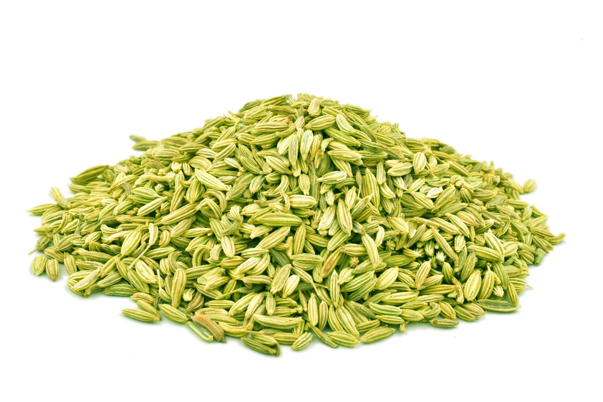 Fennel Seeds