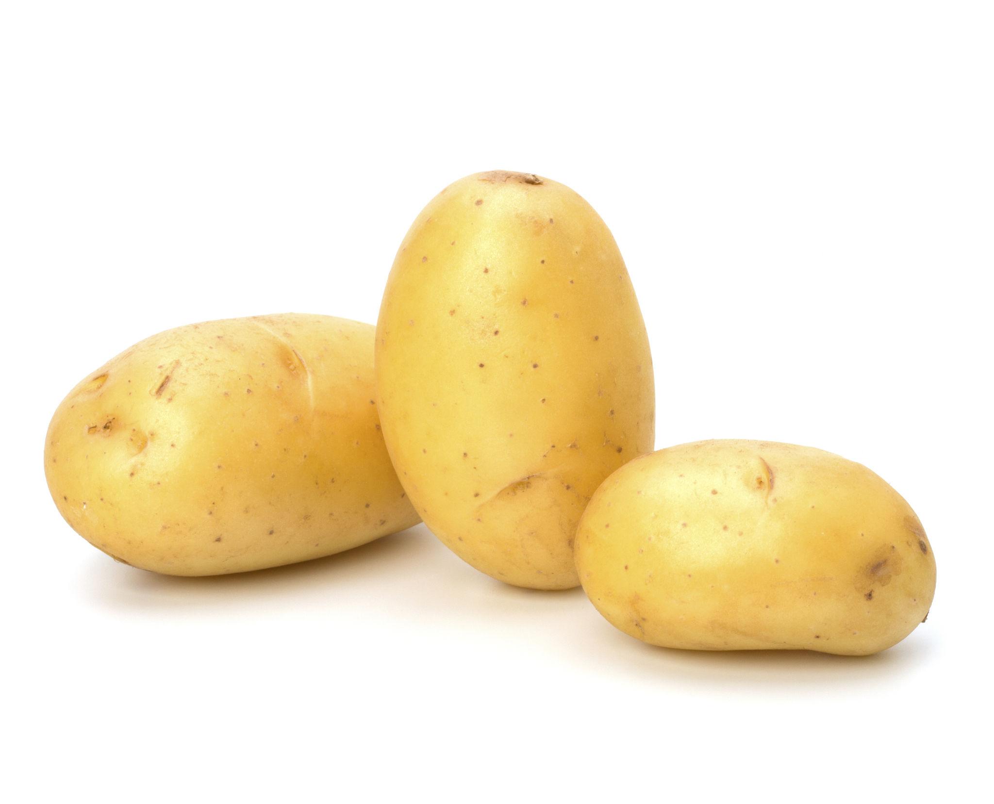 Fresh Potato